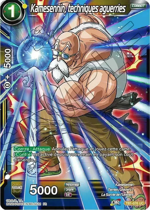 The Tournament of Power [TB1] - Kamesennin, techniques aguerries (Foil)