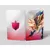 Nintendo Switch Stuff - Steelbook Pokémon Bouclier
