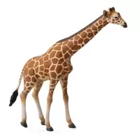 Girafe