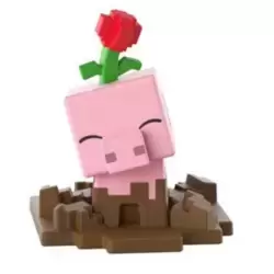 Muddy Pig