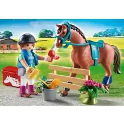 Stables Gift Set