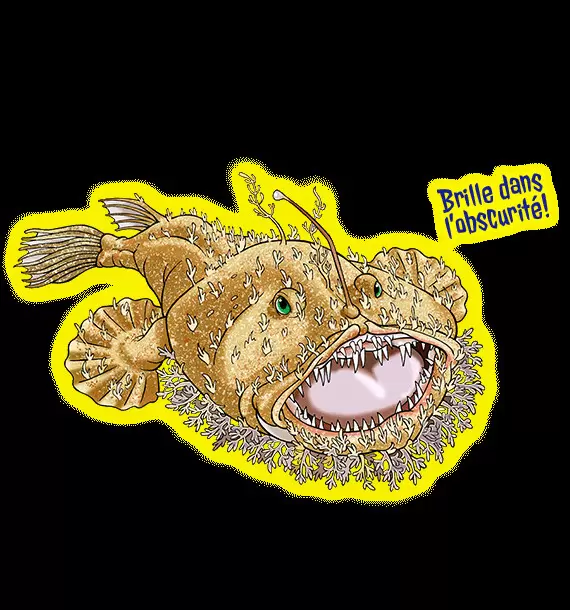 Sea Monsters & Co. - Lophius Budegassa