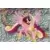 My Little Pony  : The Movie Panini sticker  n°2
