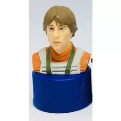 Luke Skywalker Head