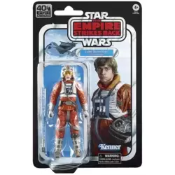 Luke Skywalker (Snowspeeder)