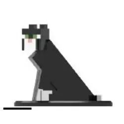 Tuxedo Cat