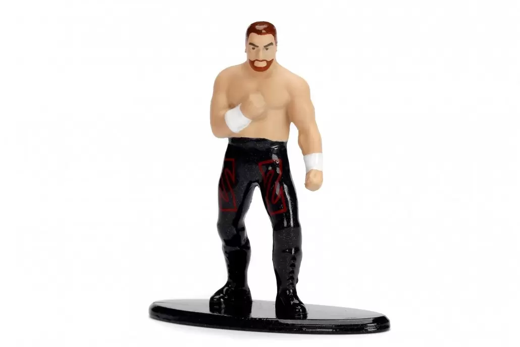 WWE - Sami Zayn