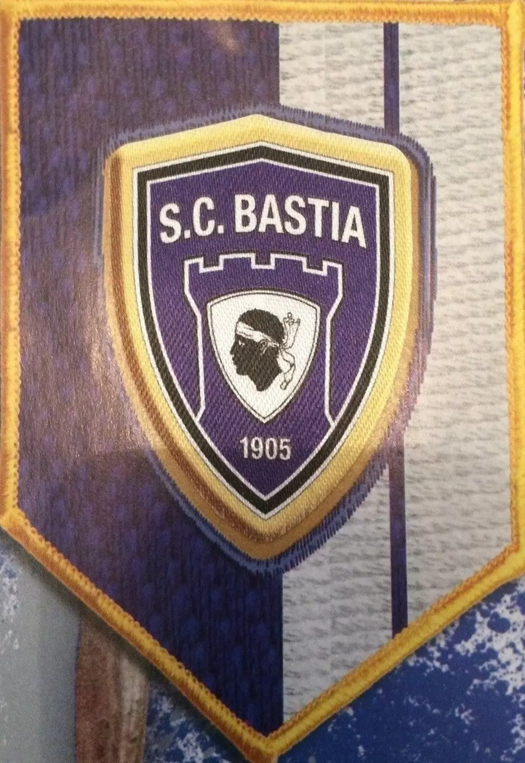 Foot 2014-2015 - Blason bastia