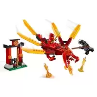 Kai's Fire Dragon