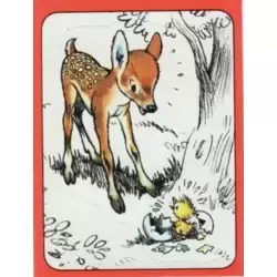 Image n°1