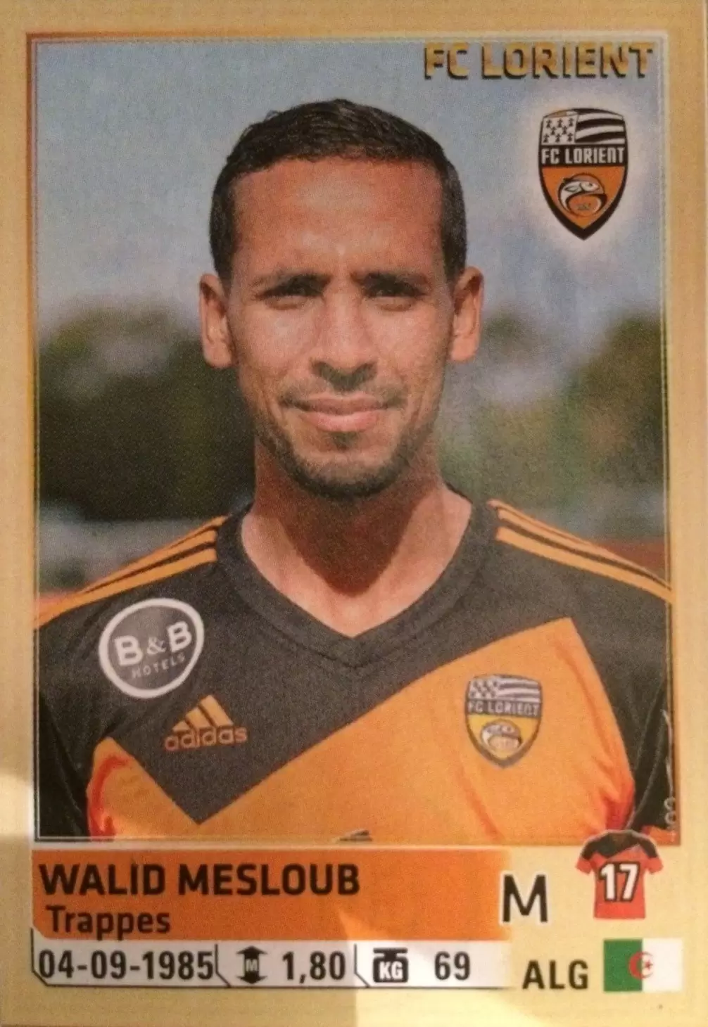 Foot 2014-2015 - Walid Mesloub