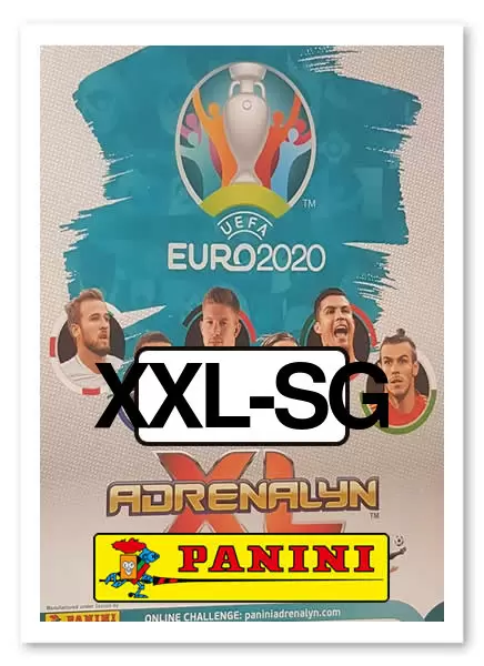 Allemagne Euro 2020 cartes-PANINI ADRENALYN XL-coéquipier Logo Deutschland UEFA