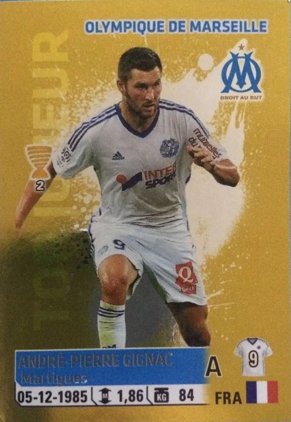 Foot 2014-2015 - André-Pierre Gignac