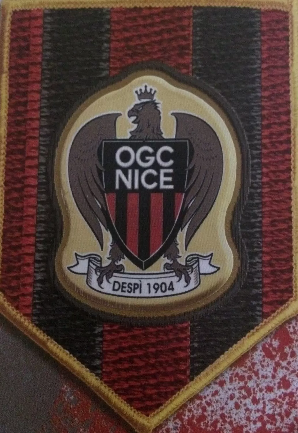 Foot 2014-2015 - Blason OGC Nice