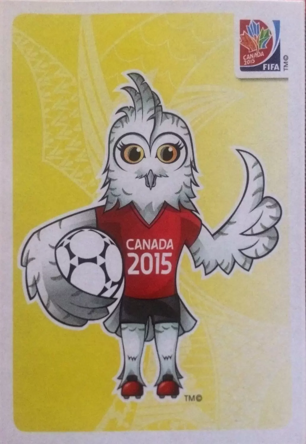 FIFA Women\'s World Cup - Canada 2015 - Image n°20