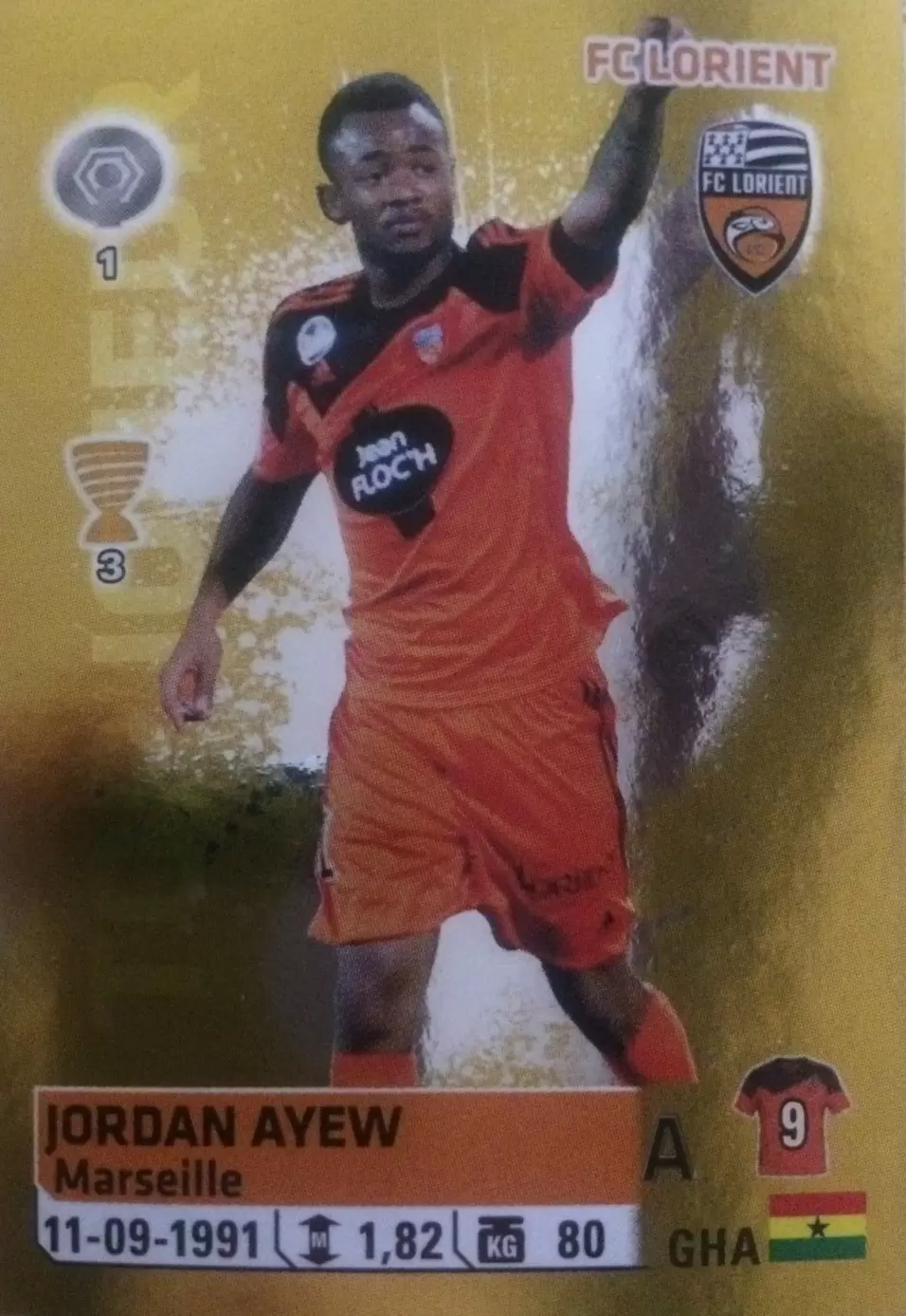 Foot 2014-2015 - Jordan Ayew
