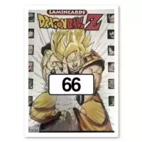 Carte Dragon Ball n°66