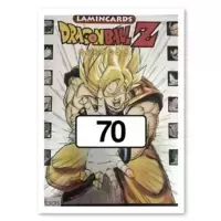 Carte Dragon Ball n°70