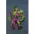 Hulk (6ème Série - Semic) - Hulk 16