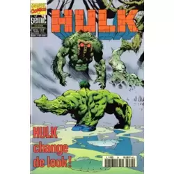 Hulk 24