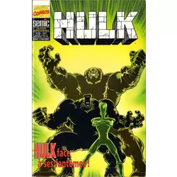 Hulk 29