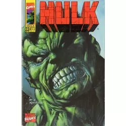 Hulk 33