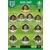 Line-Up - England
