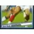 SuperFoot 2004-05 - Jean-Alain Boumsong (puzzle 2)