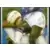 Lilian Thuram (puzzle 2)
