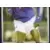 Patrick Vieira (puzzle 2)