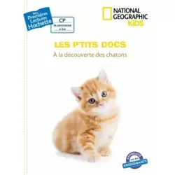 National Geographic Kids - À la découverte des chatons