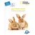 Mes Premières Lectures - National Geographic Kids - À la découverte des lapins
