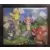 Pokémon - Pokémon Festa 2014 Set
