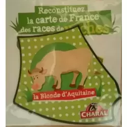 La Blonde d'Aquitaine
