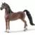 Hongre Saddlebred