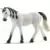 Horse Club - Jument arabe
