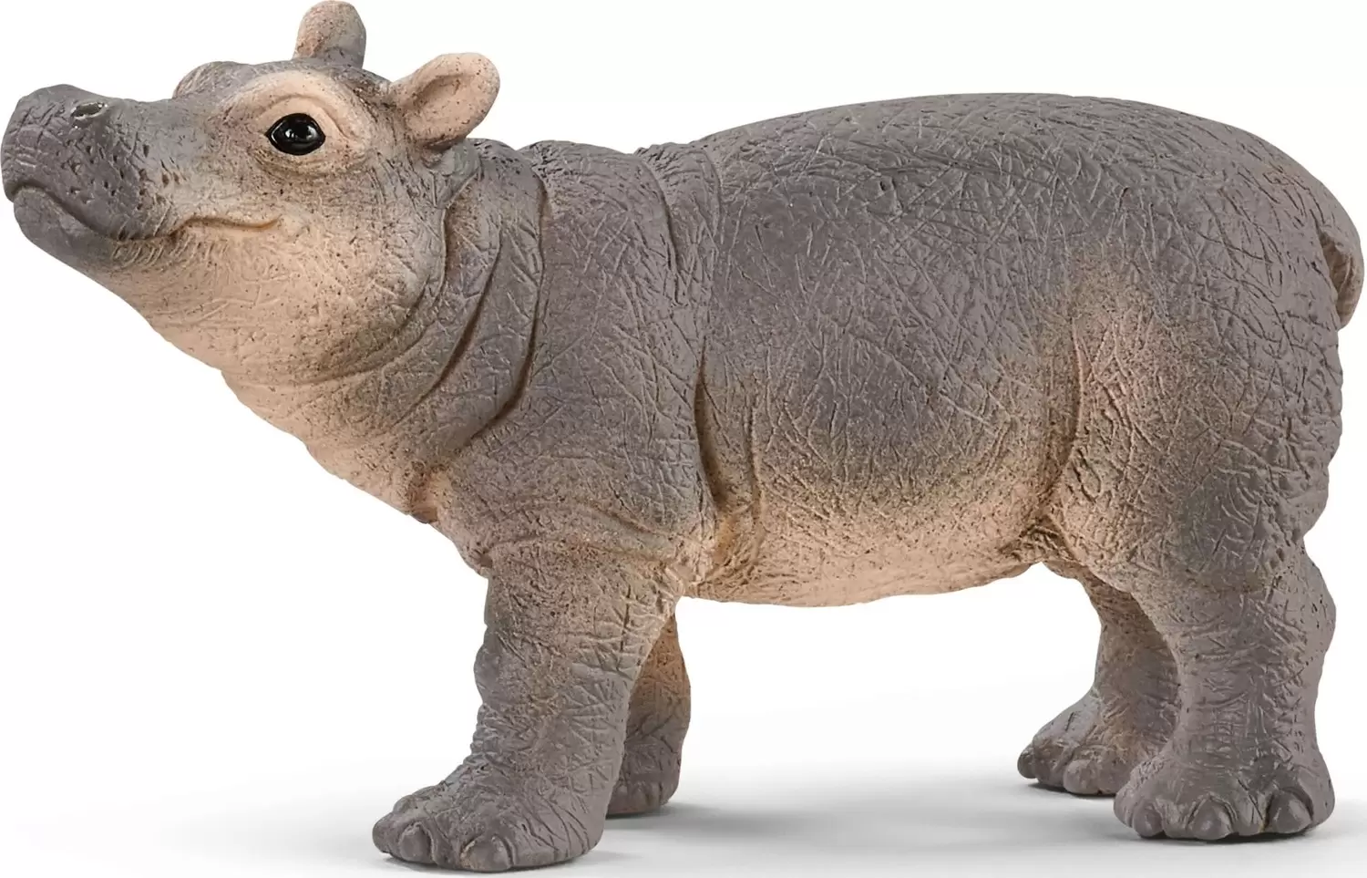 Wild Life - Bébé hippopotame