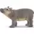 Wild Life - Bébé hippopotame