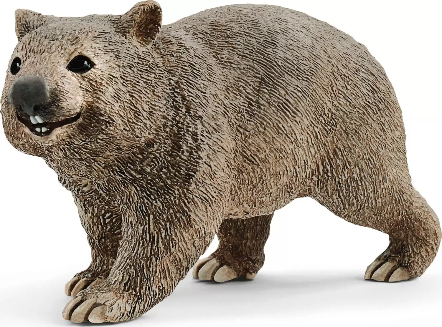Wild Life - Wombat