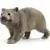 Wild Life - Wombat