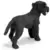 Schnauzer géant