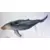 Baleine à bosse