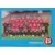 Foot 96 - Équipe - Rennes