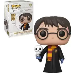 Harry Potter with Hedwig 18