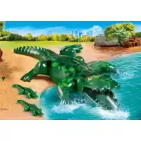 Alligator avec ses petits