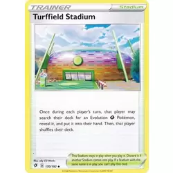 Turffied Stadium