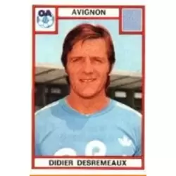 Didier Desremeaux - Avignon