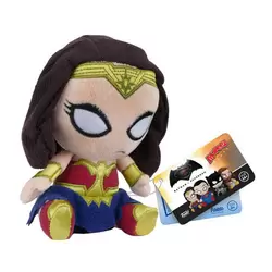 Wonder Woman Dawn of Justice