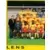 Equipe (puzzle 1) - Racing Club de Lens
