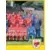 Equipe (puzzle 2) - Lille Olympique